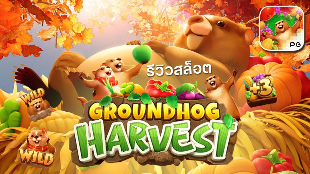 Groundhog Harvest สล็อตกราว์ฮอก กระรอกดิน PG SBOBET